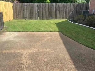 Arriayne C.'s lawn maintenance service result