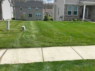 Raymond C.'s grass maintenance service result