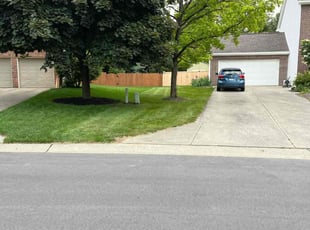 Albert D.'s turf maintenance service result