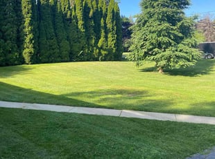 Katherine P.'s lawn care services service result