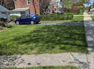 Koren I.'s lawn care service result