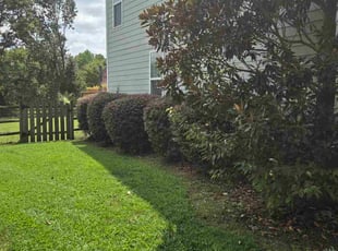 Julie K.'s grass maintenance service result