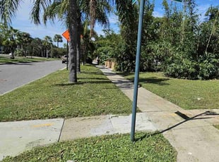 Joyce L.'s lawn care service result