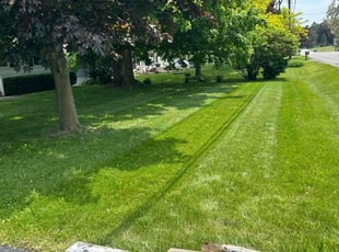 Stacy S.'s landscaping services service result