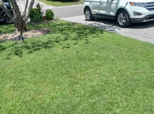 Karen R.'s lawn service service result