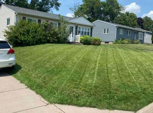 Karin D.'s gardening service service result