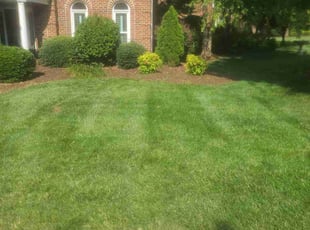 Todd T.'s gardening service service result