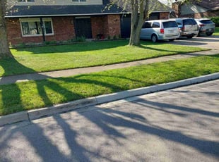 Troy G.'s turf maintenance service result