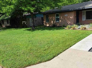 Jesse L.'s turf care service result