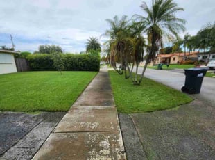 Alex B.'s lawn service service result