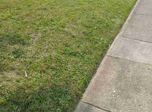 Ronnie H.'s lawn care services service result