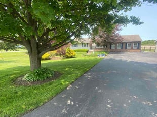 Joyce L.'s turf care service result