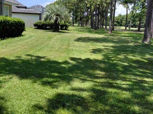 Graham L.'s turf maintenance service result