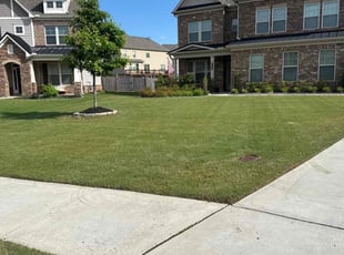 Isaiah B.'s lawn care services service result