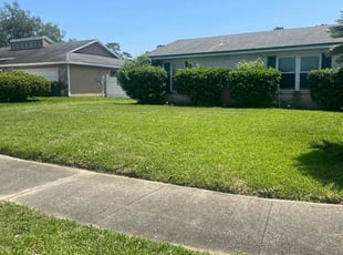 Mark C.'s grass maintenance service result
