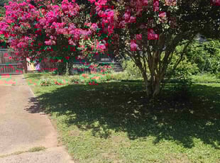 Lyle H.'s lawn service service result