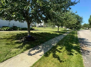 Alison L.'s lawn care services service result