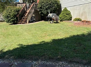 Cindy M.'s lawn care service result