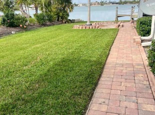 Ronnie B.'s lawn maintenance service result