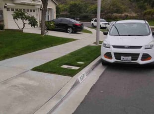 John C.'s grass cutting service result