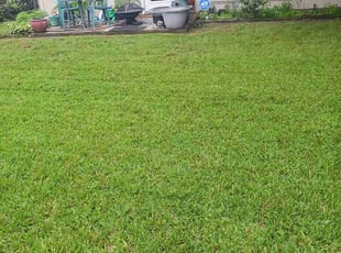 Jeremy P.'s grass maintenance service result