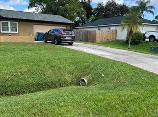 Litishi L.'s landscaping services service result