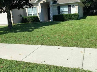 Pauline L.'s lawn care service result