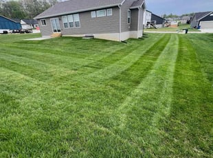 Robert C.'s turf maintenance service result
