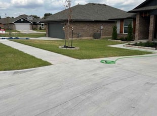 Janeen C.'s turf care service result