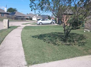 Amanda D.'s grass maintenance service result