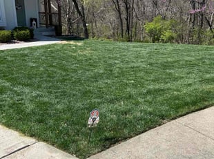 Clifford J.'s lawn maintenance service result