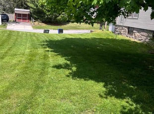 Jonathan C.'s lawn care services service result