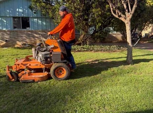 Frank T.'s lawn care services service result