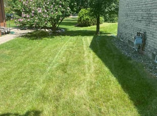 Denise M.'s lawn care services service result
