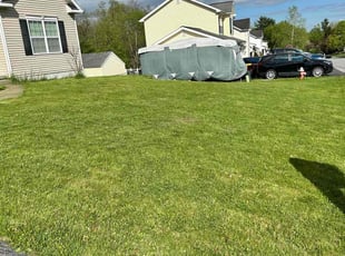 John W.'s turf care service result
