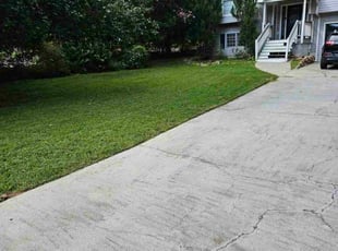 Teresa O.'s lawn care services service result