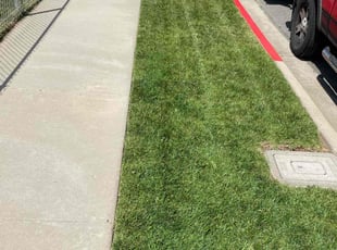 Sylvia T.'s lawn care service result