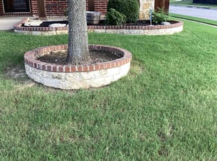 Soumya D.'s lawn maintenance service result