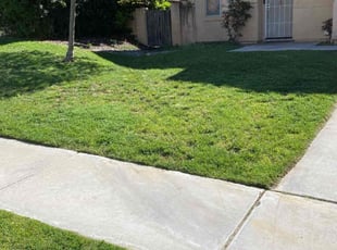 Lisa S.'s lawn care service result