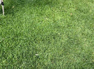 Stephen R.'s gardening service service result