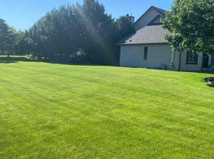 John S.'s turf care service result