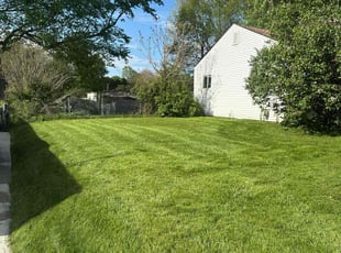Shea P.'s turf care service result