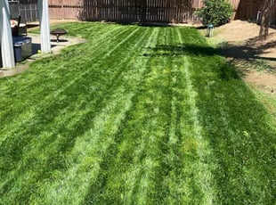 Tara J.'s grass maintenance service result