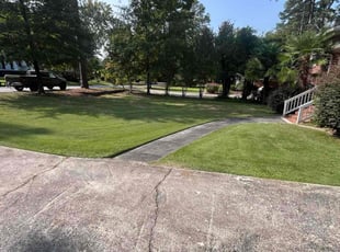 Esere N.'s lawn service service result
