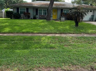Peter G.'s turf care service result