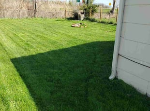 Doris M.'s grass cutting service result