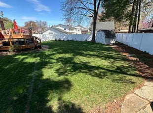 Emmanuel F.'s turf care service result