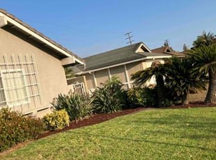 Elainne S.'s Other service result