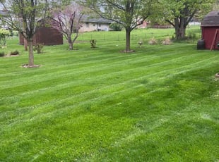 Renee S.'s lawn maintenance service result