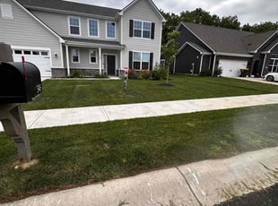 Jean J.'s lawn care service result